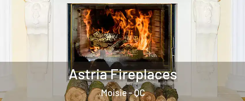  Astria Fireplaces Moisie - QC