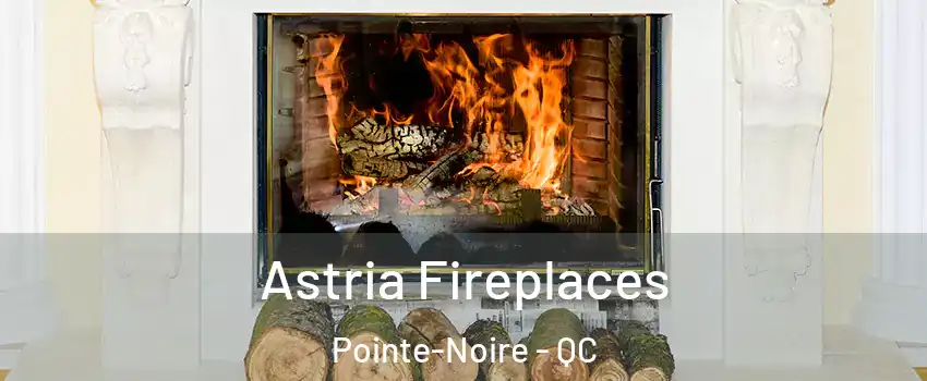  Astria Fireplaces Pointe-Noire - QC