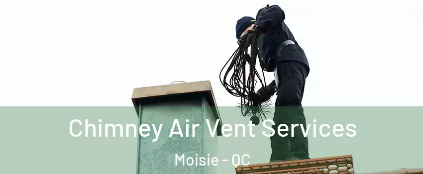  Chimney Air Vent Services Moisie - QC