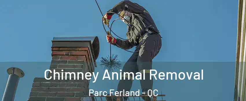 Chimney Animal Removal Parc Ferland - QC