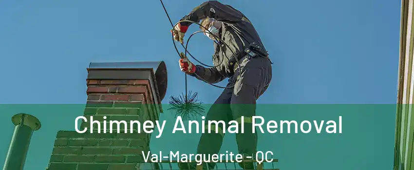 Chimney Animal Removal Val-Marguerite - QC