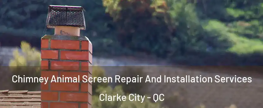  Chimney Animal Screen Repair And Installation Services Clarke City - QC