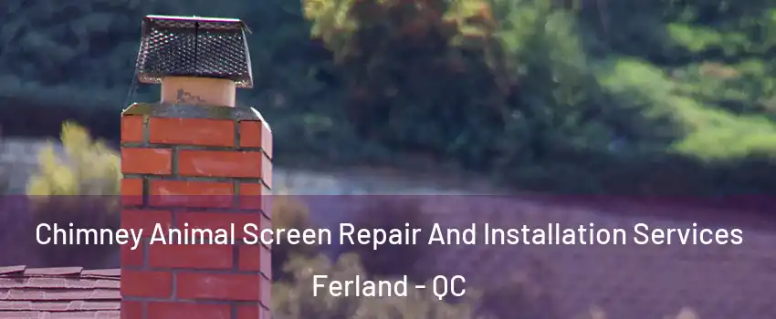  Chimney Animal Screen Repair And Installation Services Ferland - QC