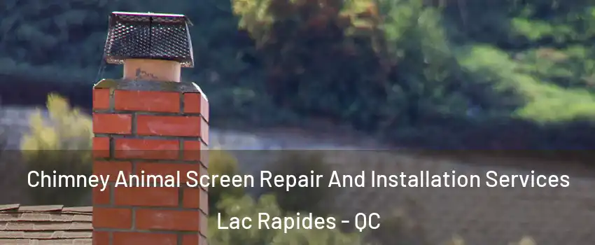  Chimney Animal Screen Repair And Installation Services Lac Rapides - QC