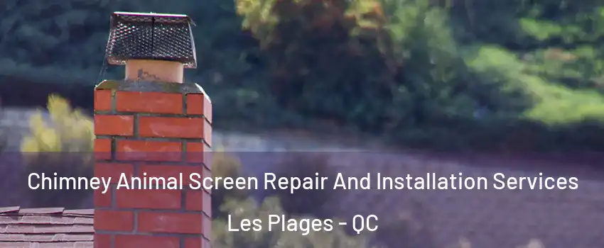  Chimney Animal Screen Repair And Installation Services Les Plages - QC