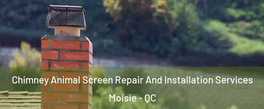  Chimney Animal Screen Repair And Installation Services Moisie - QC