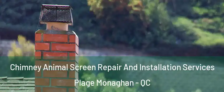  Chimney Animal Screen Repair And Installation Services Plage Monaghan - QC