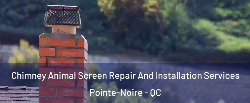  Chimney Animal Screen Repair And Installation Services Pointe-Noire - QC