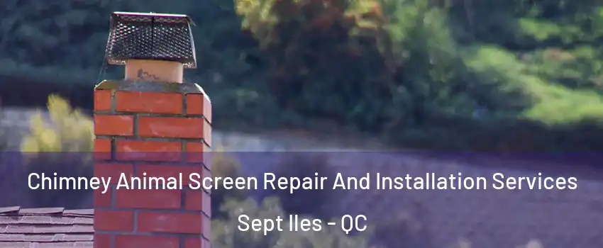  Chimney Animal Screen Repair And Installation Services Sept Iles - QC