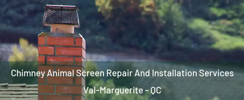  Chimney Animal Screen Repair And Installation Services Val-Marguerite - QC