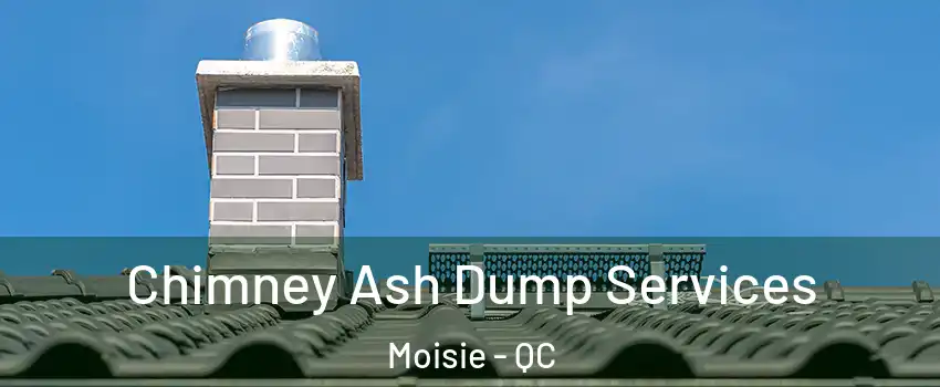  Chimney Ash Dump Services Moisie - QC