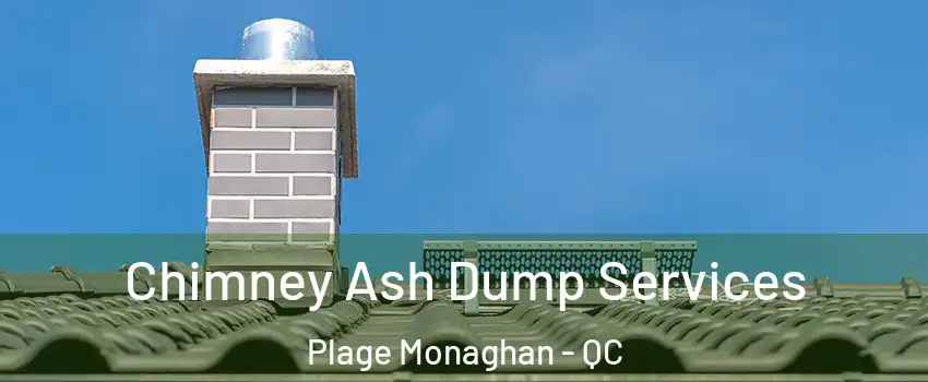  Chimney Ash Dump Services Plage Monaghan - QC