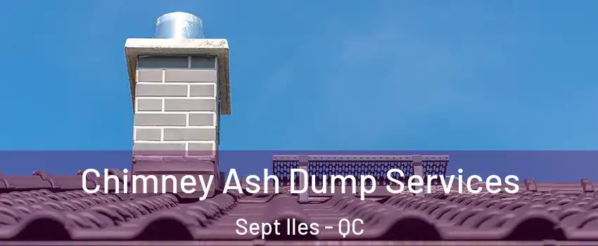  Chimney Ash Dump Services Sept Iles - QC