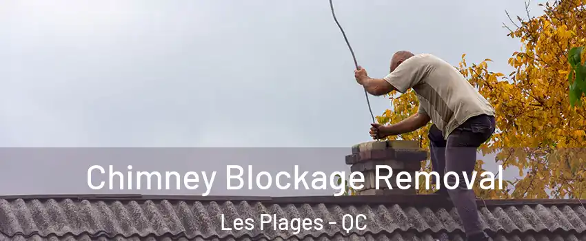  Chimney Blockage Removal Les Plages - QC