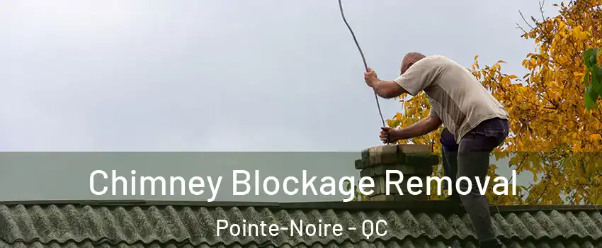 Chimney Blockage Removal Pointe-Noire - QC