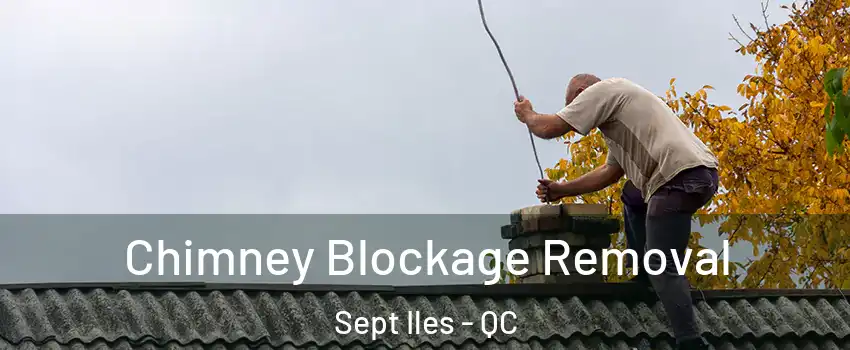  Chimney Blockage Removal Sept Iles - QC