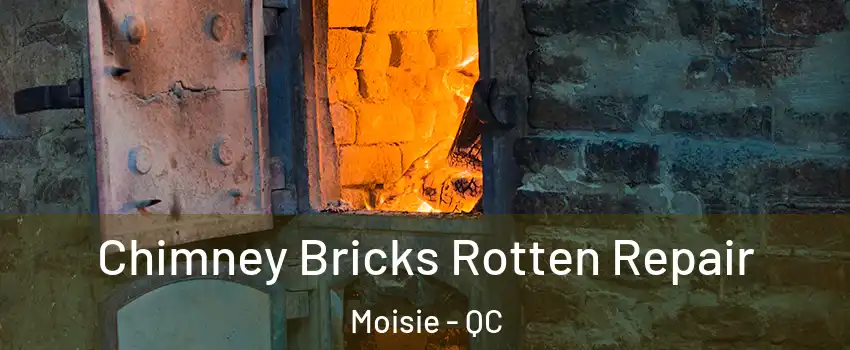  Chimney Bricks Rotten Repair Moisie - QC