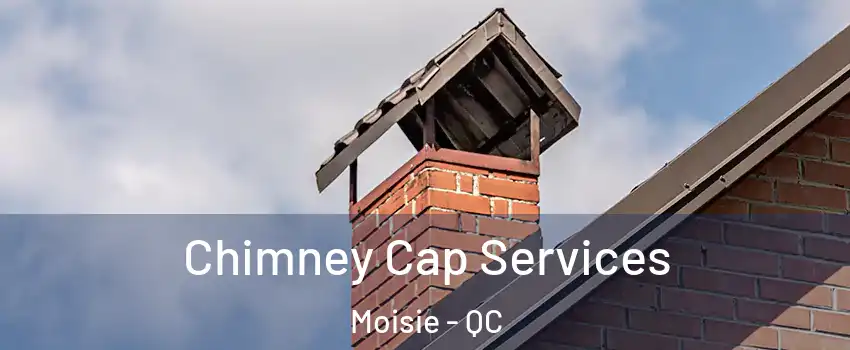  Chimney Cap Services Moisie - QC