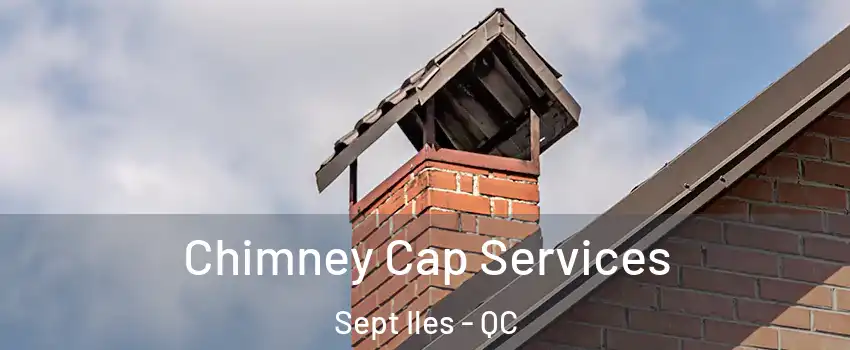  Chimney Cap Services Sept Iles - QC