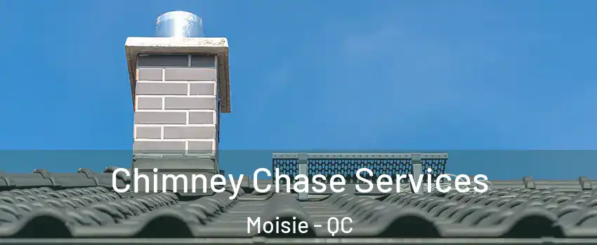  Chimney Chase Services Moisie - QC