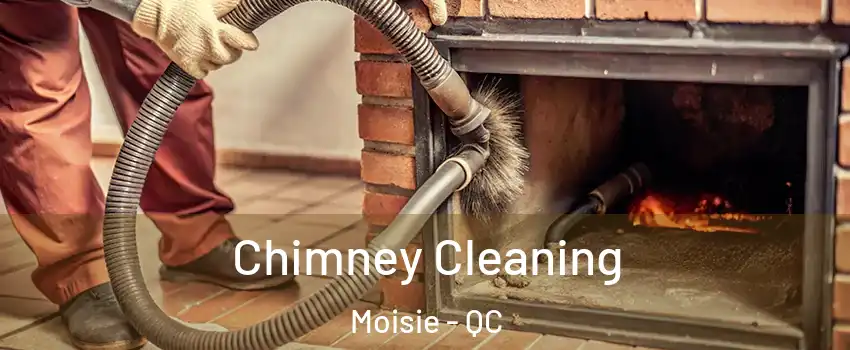  Chimney Cleaning Moisie - QC