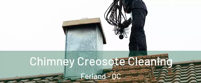  Chimney Creosote Cleaning Ferland - QC