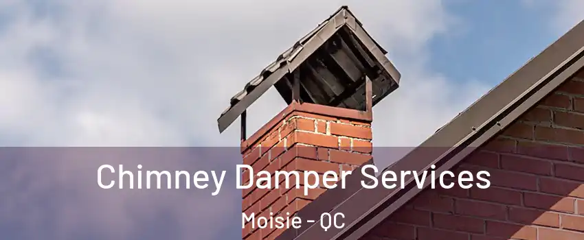  Chimney Damper Services Moisie - QC
