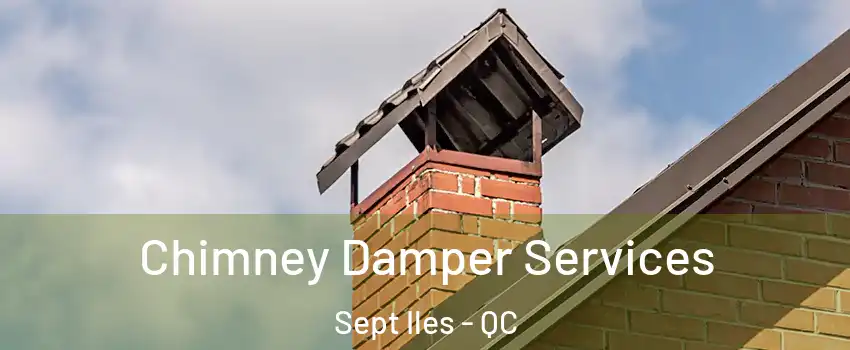  Chimney Damper Services Sept Iles - QC
