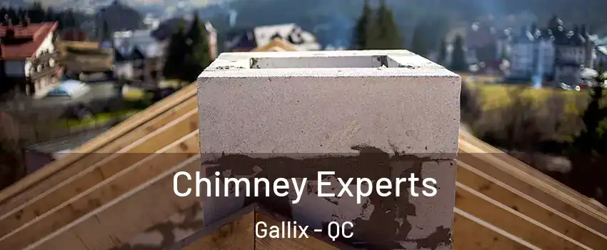 Chimney Experts Gallix - QC