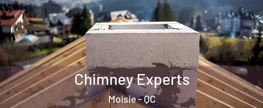 Chimney Experts Moisie - QC