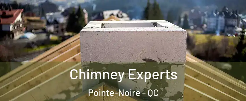 Chimney Experts Pointe-Noire - QC