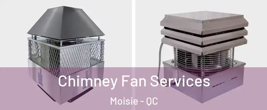  Chimney Fan Services Moisie - QC
