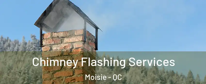 Chimney Flashing Services Moisie - QC