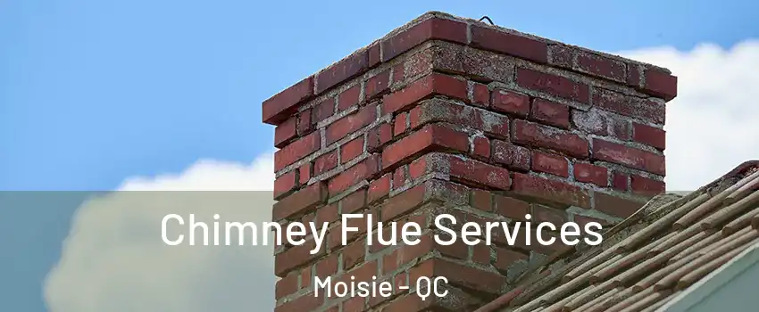  Chimney Flue Services Moisie - QC
