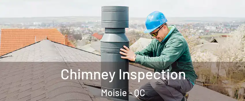  Chimney Inspection Moisie - QC