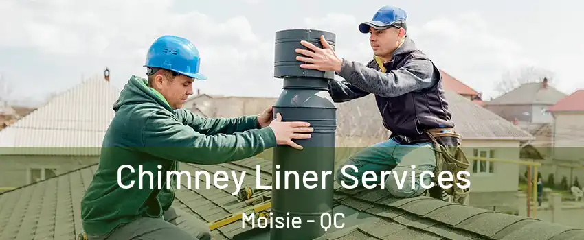  Chimney Liner Services Moisie - QC