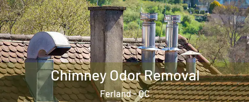 Chimney Odor Removal Ferland - QC