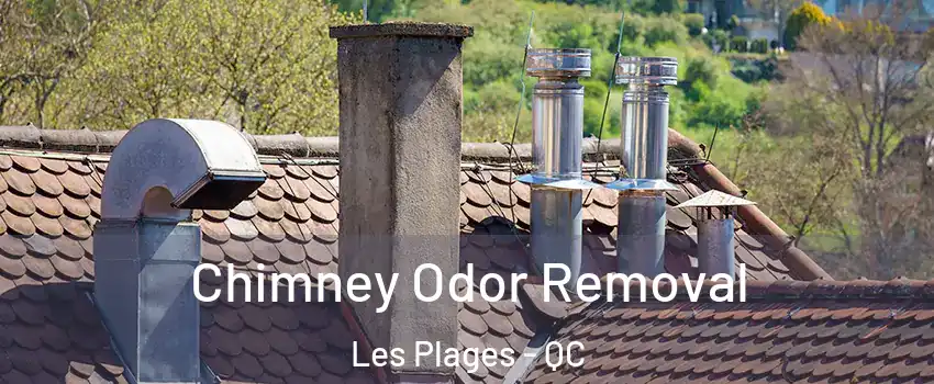  Chimney Odor Removal Les Plages - QC