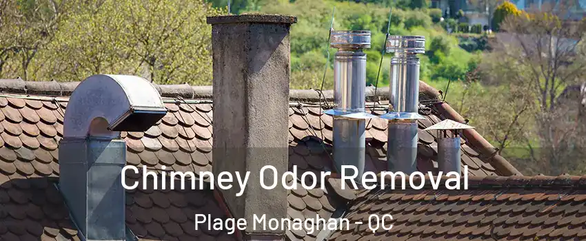 Chimney Odor Removal Plage Monaghan - QC