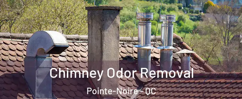  Chimney Odor Removal Pointe-Noire - QC