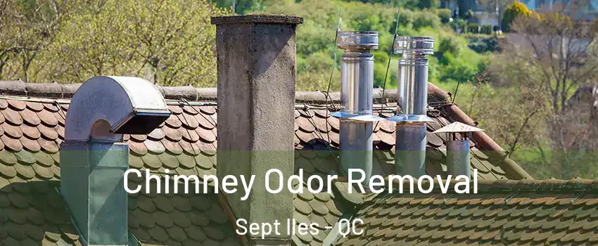  Chimney Odor Removal Sept Iles - QC