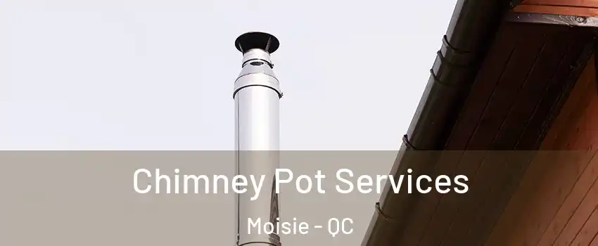  Chimney Pot Services Moisie - QC