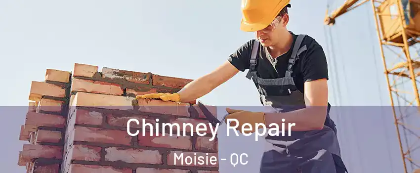  Chimney Repair Moisie - QC