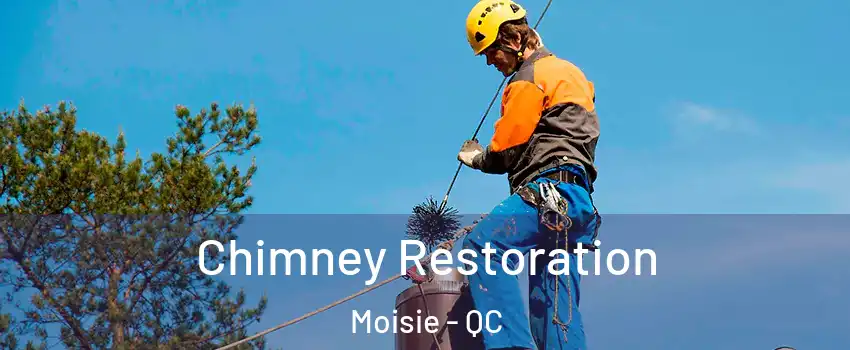 Chimney Restoration Moisie - QC