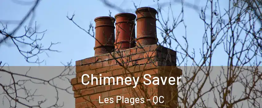  Chimney Saver Les Plages - QC