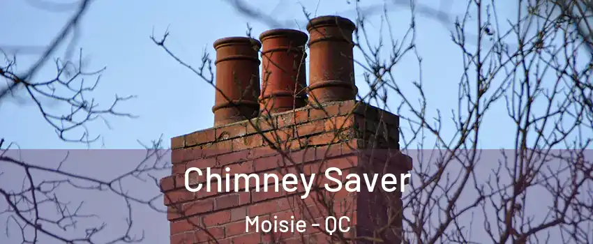  Chimney Saver Moisie - QC