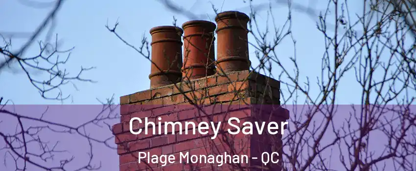  Chimney Saver Plage Monaghan - QC