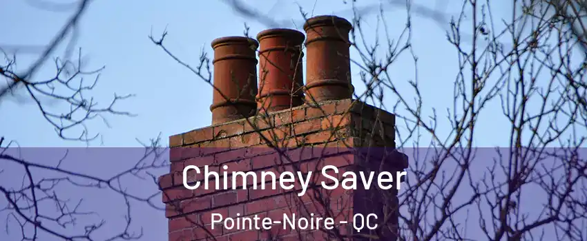  Chimney Saver Pointe-Noire - QC