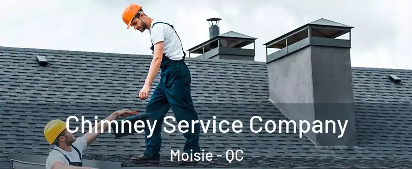  Chimney Service Company Moisie - QC