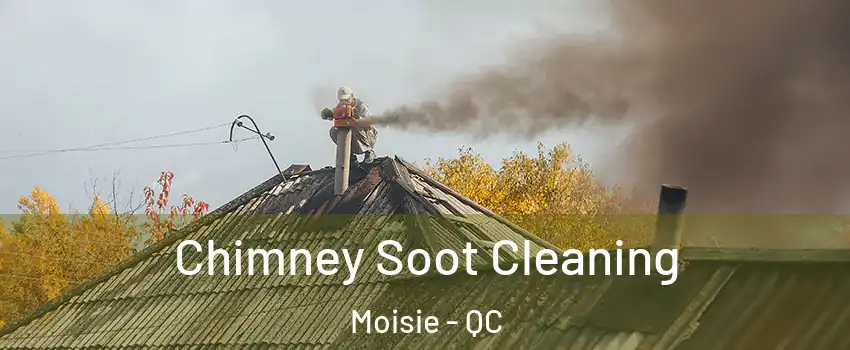  Chimney Soot Cleaning Moisie - QC